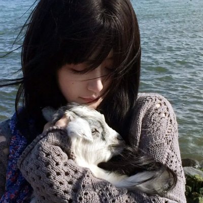 乖乖入局贺少拥我入怀