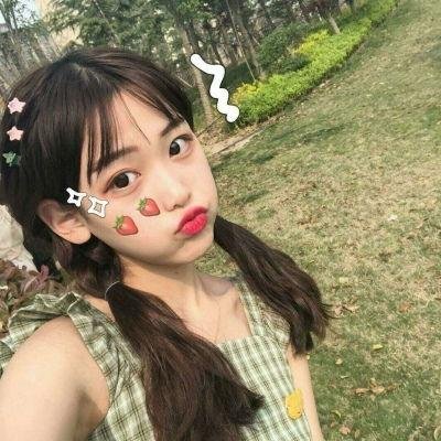 动物的秘密生活